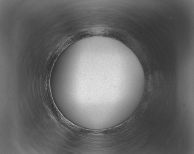 X0000085820210200703161105