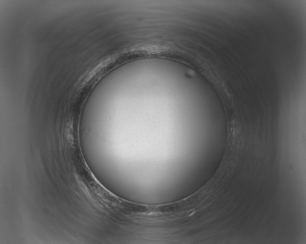 X0000085820212200703161105