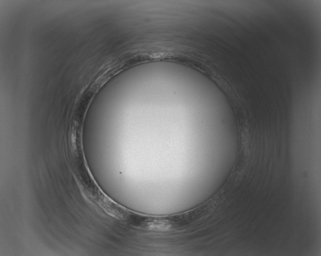 X0000085820214200703161105