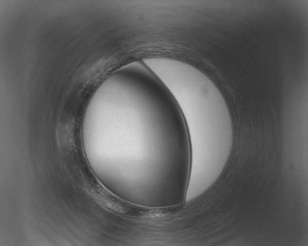X0000085820217200703161105