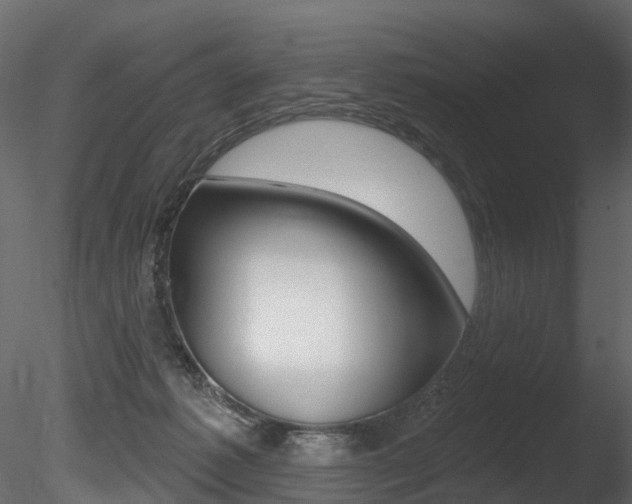 X0000085820221200703161104