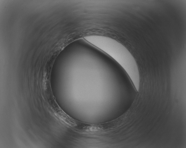 X0000085820223200703161104
