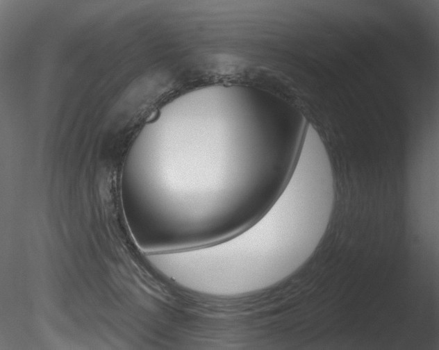 X0000085820225200703161104