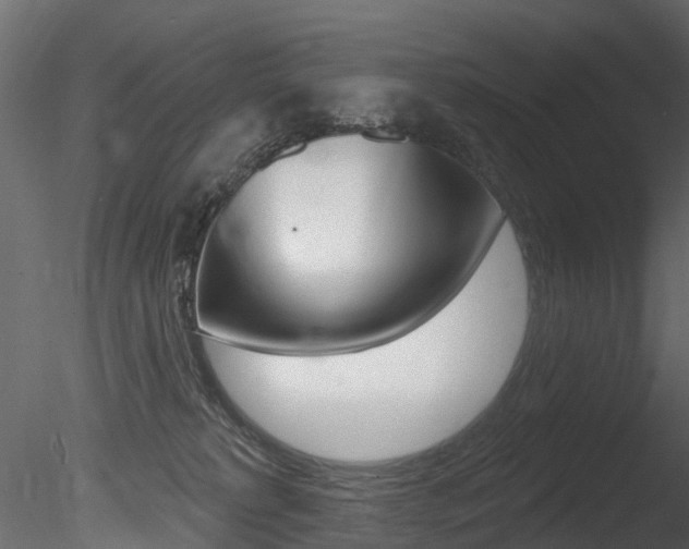 X0000085820229200703161104