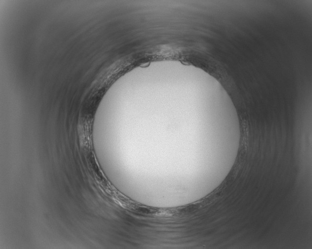 X0000085820236200703161104