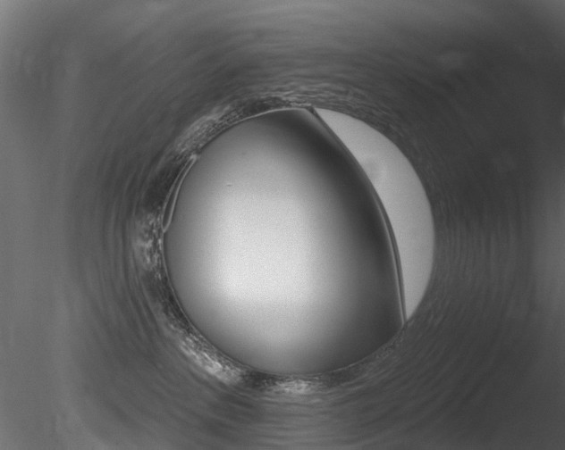 X0000085820237200703161104