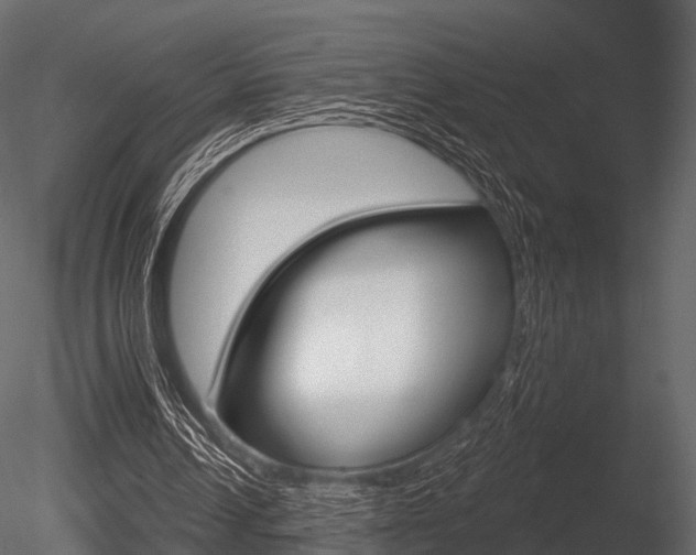 X0000085820242200703161103