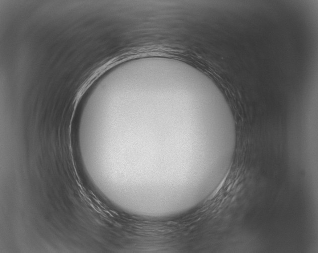 X0000085820244200703161103