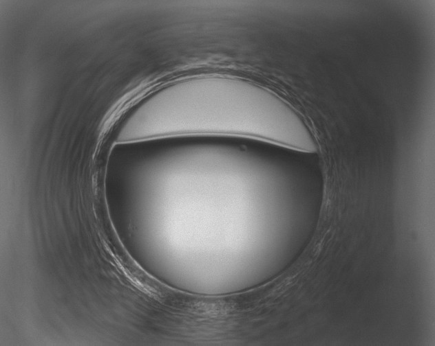 X0000085820245200703161103