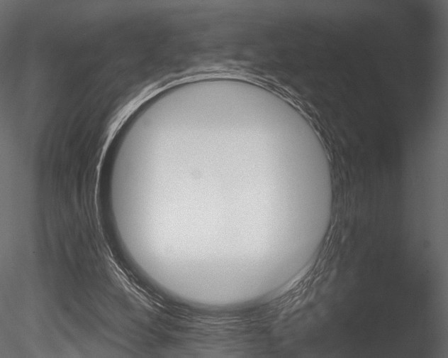 X0000085820248200703161103
