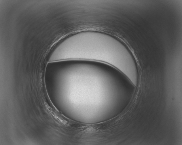 X0000085820249200703161103