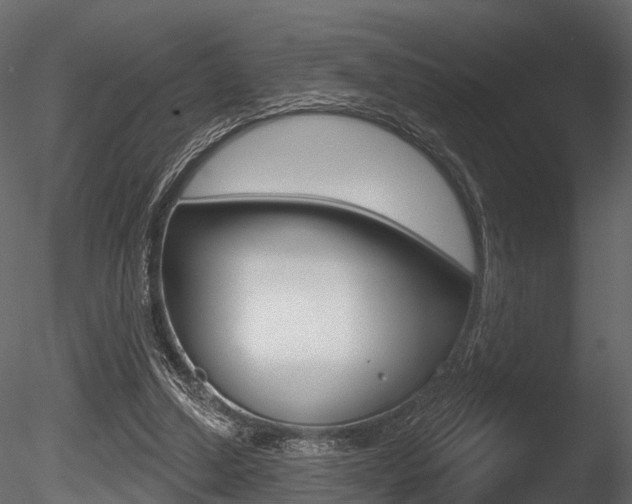 X0000085820250200703161103