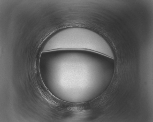 X0000085820251200703161103