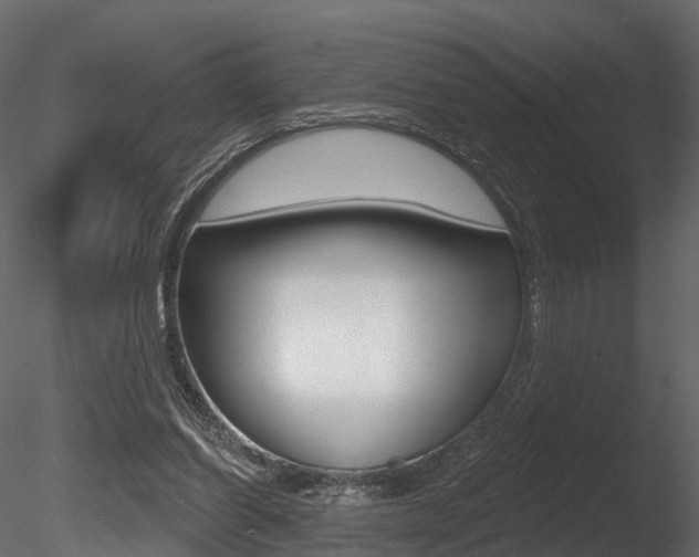 X0000085820254200703161104