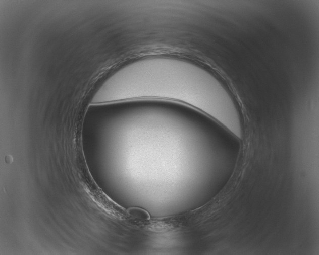 X0000085820257200703161104