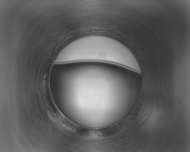 X0000085820263200703161104