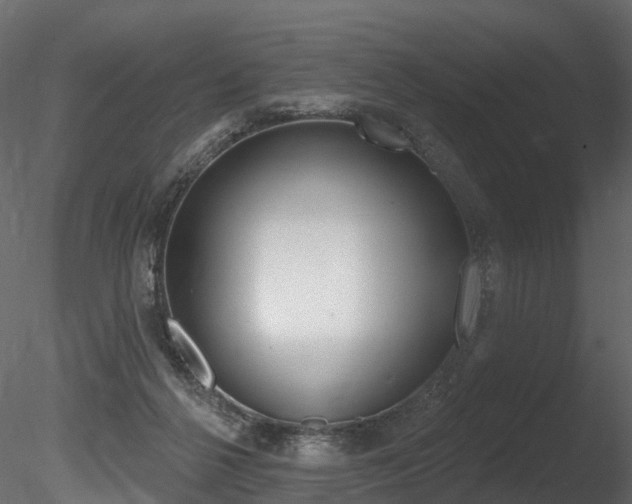 X0000085820264200703161104