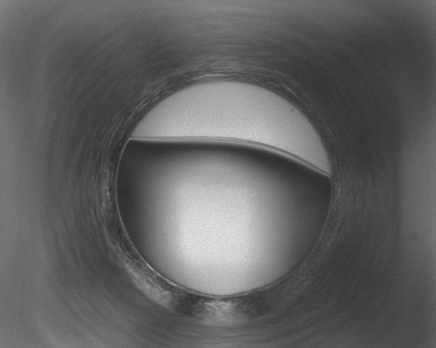 X0000085820265200703161104