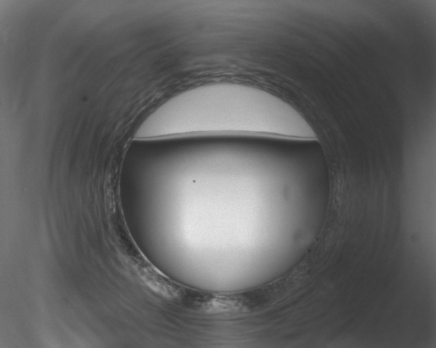X0000085820270200703161104