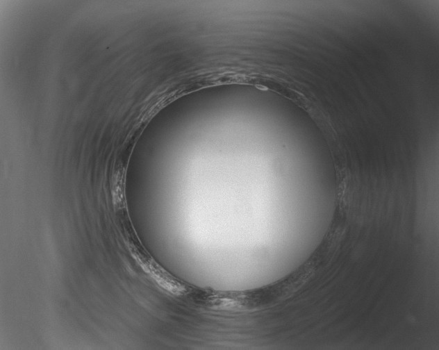 X0000085820285200703161104