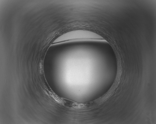 X0000085820288200703161104