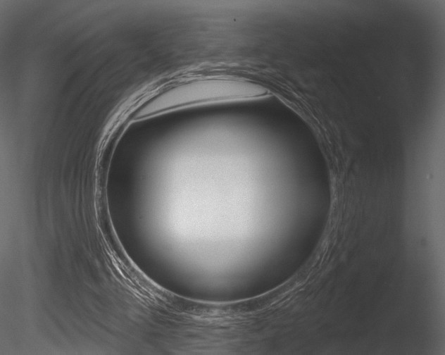 X0000085820293200703161103