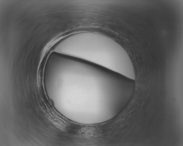 X0000085820294200703161103