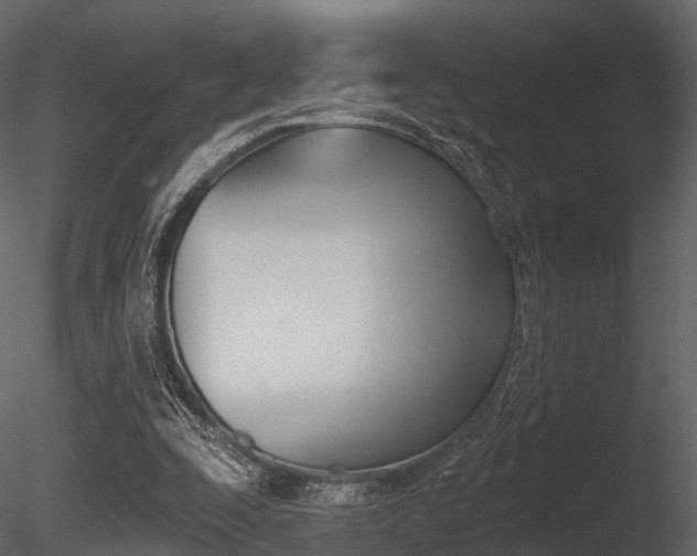 X0000085820295200703161103