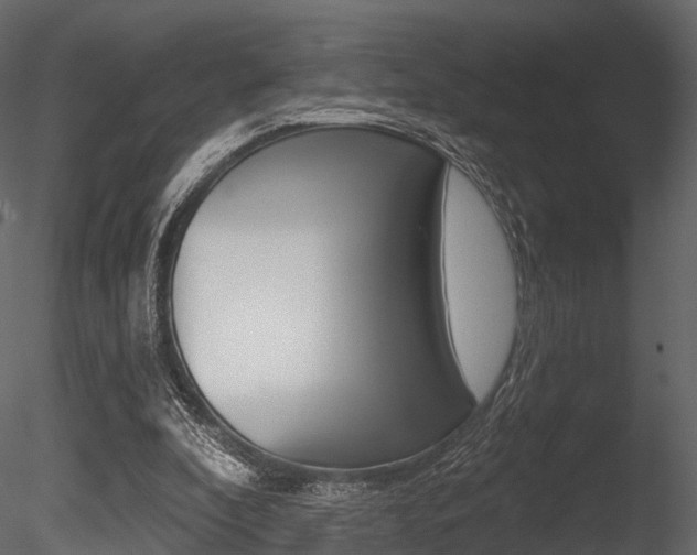 X0000085820296200703161103