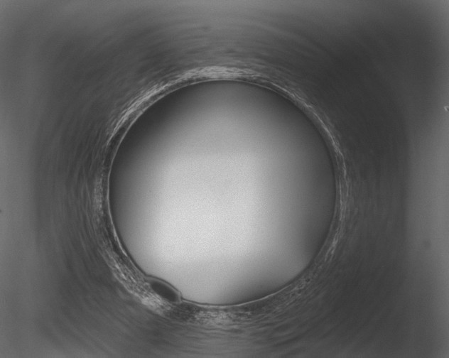 X0000085820297200703161103