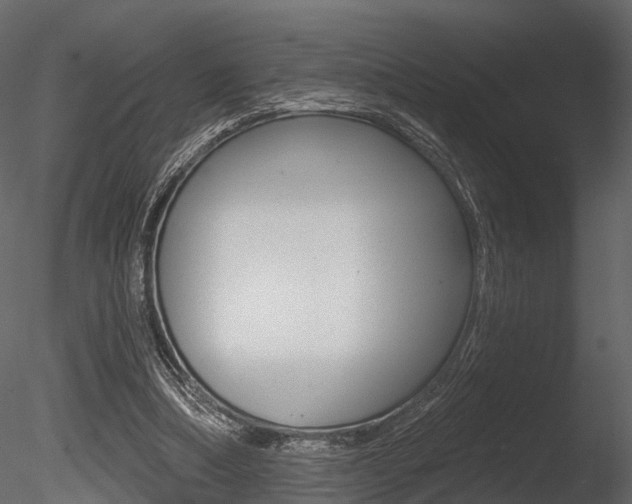 X0000085820298200703161103