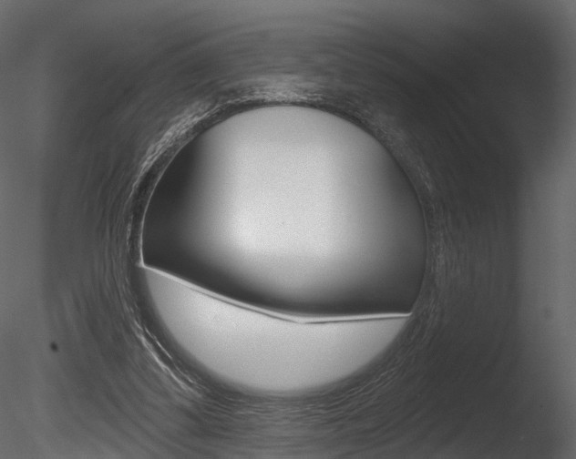 X0000085820299200703161103