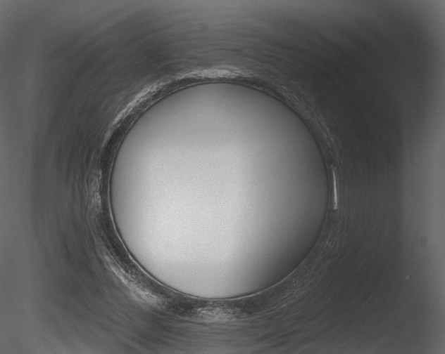 X0000085820300200703161103
