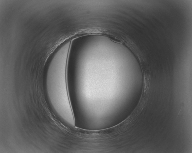 X0000085820301200703161103
