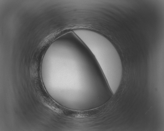 X0000085820303200703161103