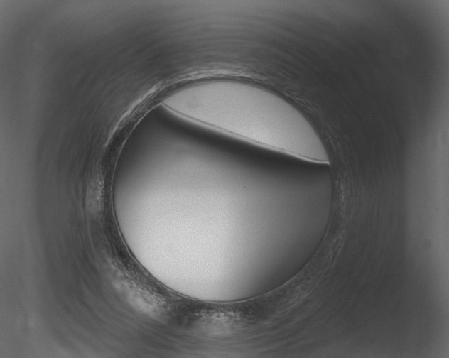 X0000085820304200703161103