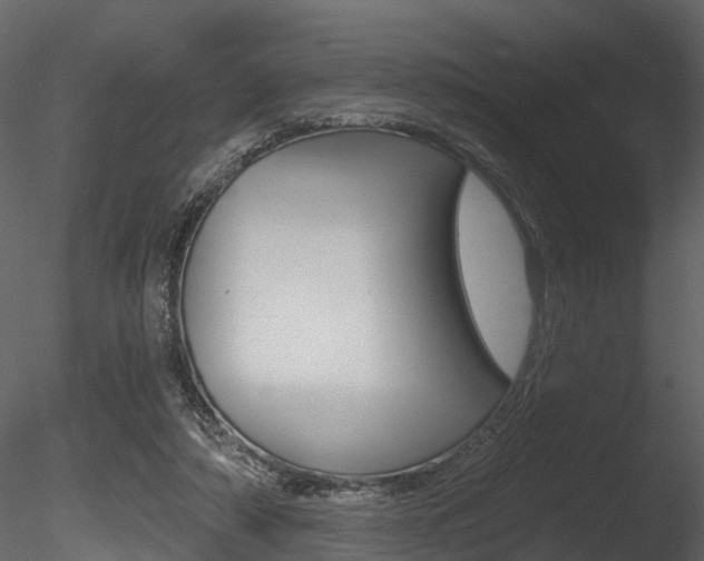 X0000085820306200703161103
