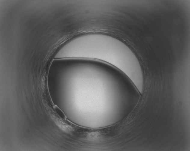 X0000085820309200703161103