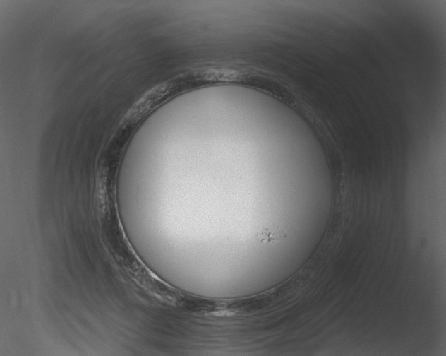 X0000085820312200703161103