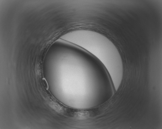 X0000085820317200703161103