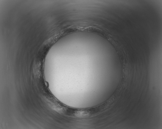 X0000085820319200703161103