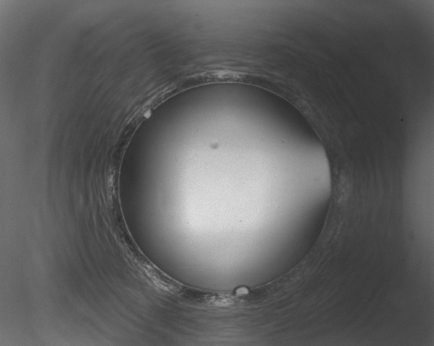 X0000085820321200703161103