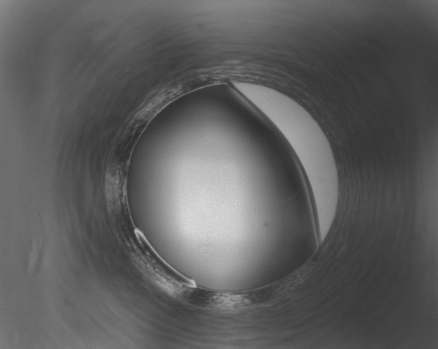 X0000085820333200703161103