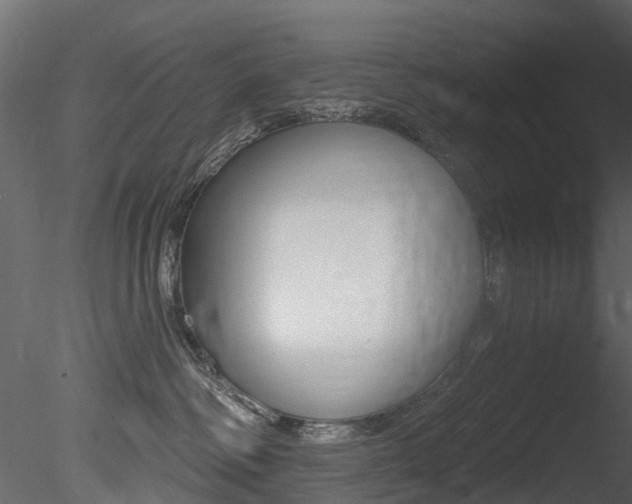 X0000085820334200703161103