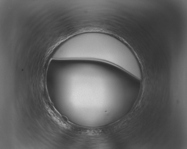 X0000085820345200703161102