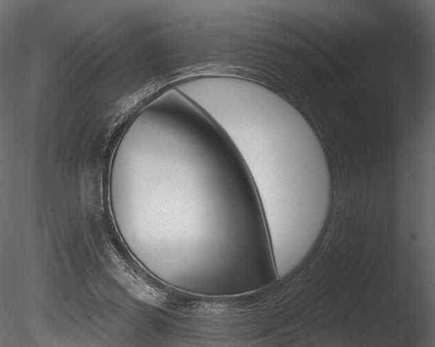 X0000085820349200703161102