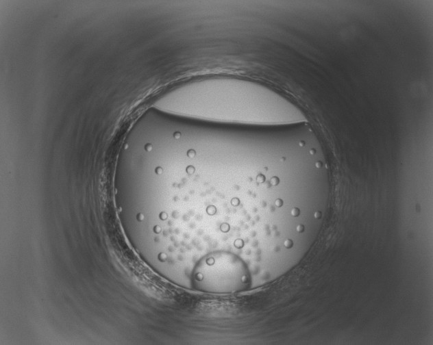 X0000085820354200703161102