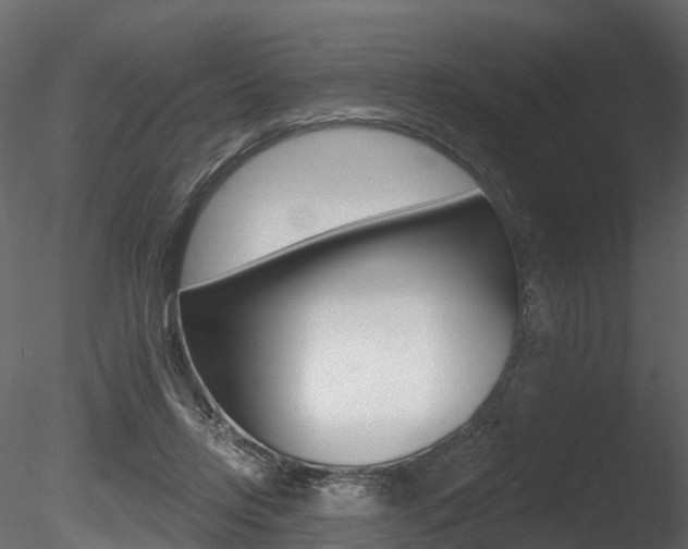 X0000085820358200703161102