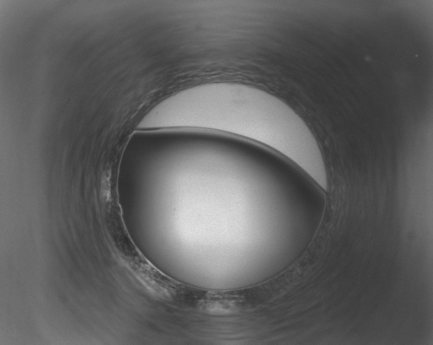 X0000085820368200703161102