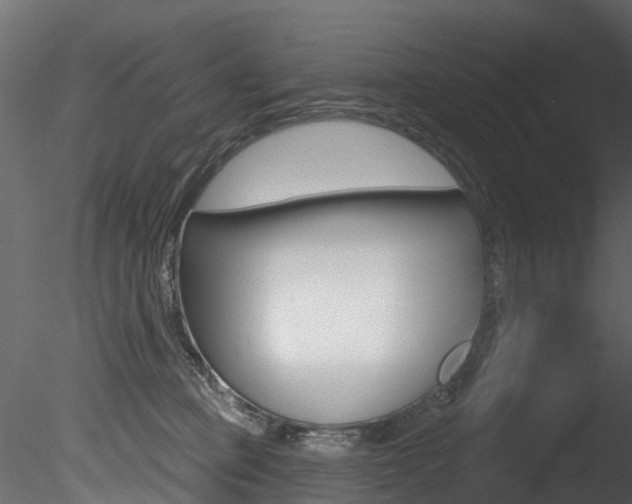 X0000085820373200703161102